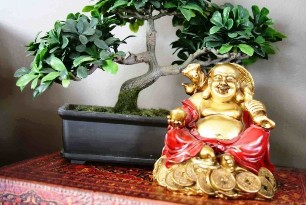 Le bonheur et la prospérité dans la maison Feng Shui