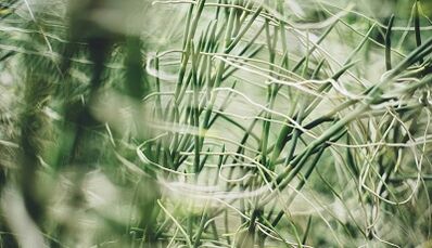 Comment fabriquer une amulette porte-bonheur de vos propres mains